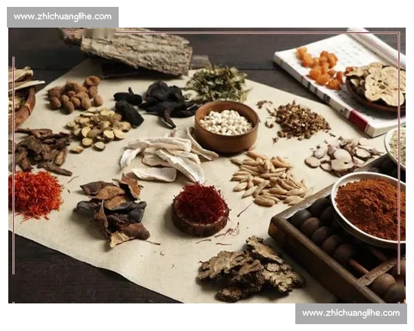 全面解析个体化健康管理策略提升生活质量与身体机能