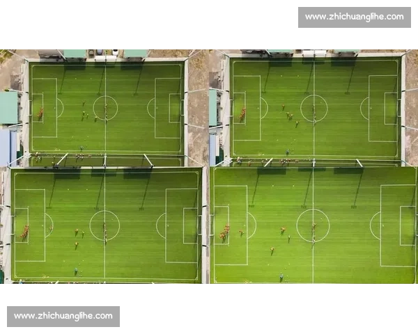 草地球场上的精彩对决与运动精神全面解析